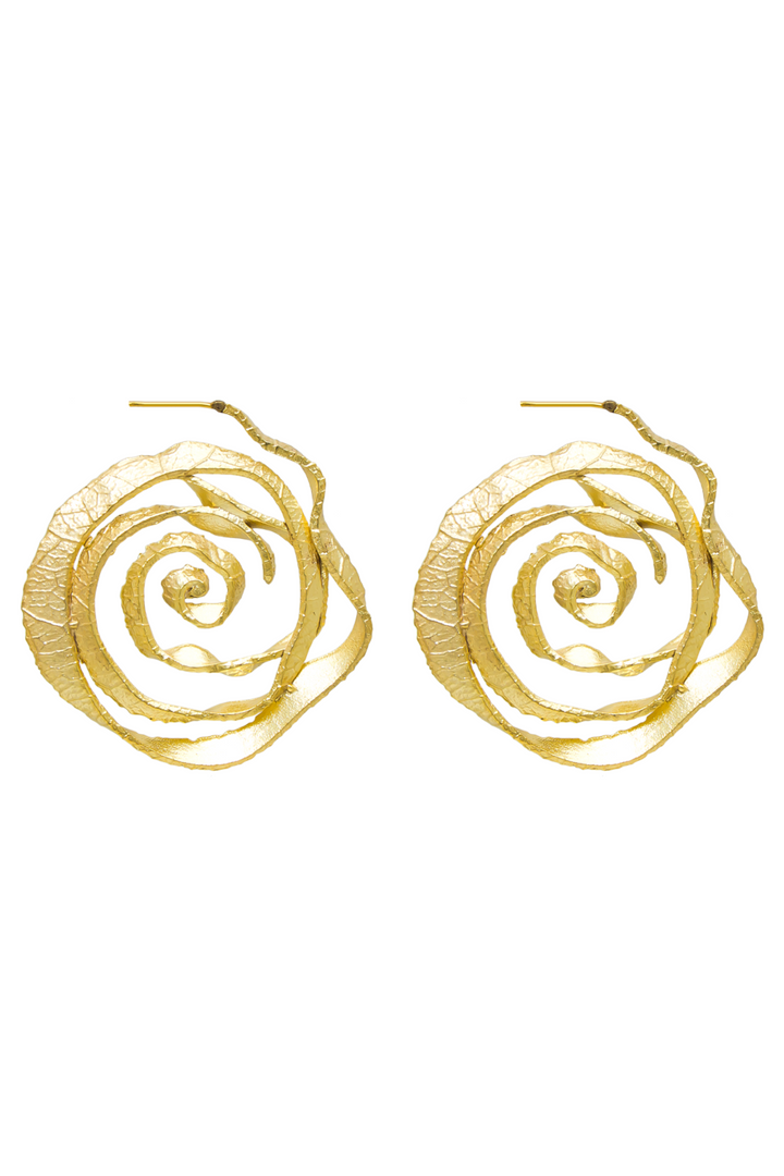 ROSETTE HOOPS